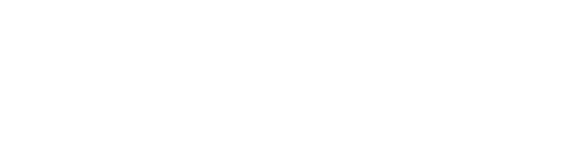 Pione Solution – Công ty Blockchain hơn 11 năm kinh nghiệm tại Việt Nam Logo thương hiệu 4